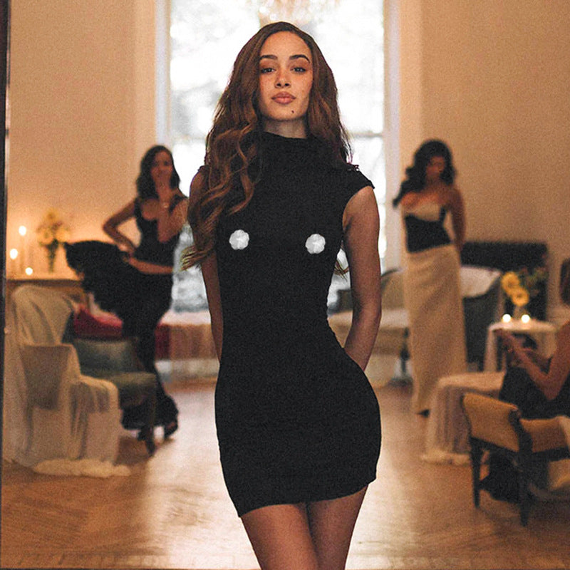 Women High Collar Sleeveless Lace Small Floral Sheath Dress